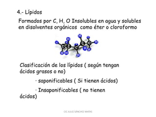 Formados por C, H, O Insolubles en agua y solubles
en disolventes orgánicos como éter o cloroformo
Clasificación de los lípidos ( según tengan
ácidos grasos o no)
· saponificables ( Si tienen ácidos)
· Insaponificables ( no tienen
ácidos)
4.- Lípidos
CIC JULIO SÁNCHEZ MATAS
 
