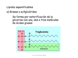 Lipidos saponificables
a) Grasas o acilglicéridos
Se forma por esterificación de la
glicerina con una, dos o tres moléculas
de ácidos grasos
CIC JULIO SÁNCHEZ MATAS
 