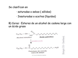 Se clasifican en
· saturadas o sebos ( sólidos)
· Insaturadas o aceites (líquidos)
B) Ceras : Esteres de un alcohol de cadena larga con
un ácido graso
CIC JULIO SÁNCHEZ MATAS
 
