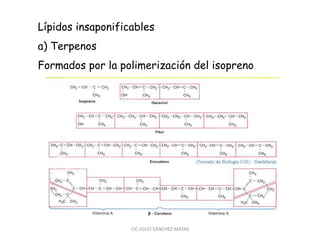 Lípidos insaponificables
a) Terpenos
Formados por la polimerización del isopreno
CIC JULIO SÁNCHEZ MATAS
 