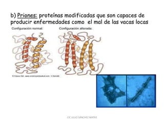 b) Priones: proteínas modificadas que son capaces de
producir enfermedades como el mal de las vacas locas
CIC JULIO SÁNCHEZ MATAS
 