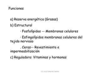 Funciones
a) Reserva energética (Grasas)
b) Estructural
· Fosfolípidos -- Membranas celulares
· Esfingolípidos membranas celulares del
tejido nervioso
. Ceras-- Revestimiento e
impermeabilización
c) Reguladora: Vitaminas y hormonas
CIC JULIO SÁNCHEZ MATAS
 