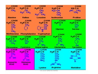 CIC JULIO SÁNCHEZ MATAS
 