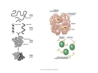 CIC JULIO SÁNCHEZ MATAS
 