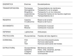 CIC JULIO SÁNCHEZ MATAS
 