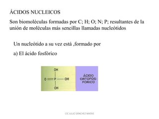 ÁCIDOS NUCLEICOS
Son biomoléculas formadas por C; H; O; N; P; resultantes de la
unión de moléculas más sencillas llamadas nucleótidos
Un nucleótido a su vez está ,formado por
a) El ácido fosfórico
CIC JULIO SÁNCHEZ MATAS
 