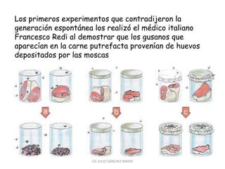 Los primeros experimentos que contradijeron la
generación espontánea los realizó el médico italiano
Francesco Redi al demostrar que los gusanos que
aparecían en la carne putrefacta provenían de huevos
depositados por las moscas
CIC JULIO SÁNCHEZ MATAS
 