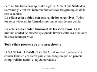 Pero no fue hasta principios del siglo XIX en el que Schleiden,
Schwann y Virchow hicieron públicos los tres principios de la
teoría celular.
La célula es la unidad estructural de los seres vivos. Todos
los seres vivos están formados por una o más de una célula.
La célula es la unidad funcional de los seres vivos. Es la
mínima unidad de materia que puede llevar a cabo las funciones
básicas de un ser vivo.
Toda célula proviene de otra preexistente
D. SANTIAGO RAMON Y CAJAL demostró que la teoría
celular también era cierta para el único tejido que no parecía
cumplir dicha teoría: el tejido nerviosos
CIC JULIO SÁNCHEZ
 