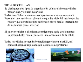 TIPOS DE CÉLULAS
Se distinguen dos tipos de organización celular diferente: células
procariotas, y células eucariotas
Todas las células tienen unos componentes esenciales comunes:
Presentan una membrana plasmática que las aísla del medio que les
rodea y que constituye una barrera selectiva para el intercambio
de sustancias con el exterior
El interior celular o citoplasma contiene una serie de elementos
imprescindibles para el correcto funcionamiento de la célula
Todas las células poseen información genética en el ADN, así
como ribosomas implicados en la síntesis de proteínas
CIC JULIO SÁNCHEZ
 
