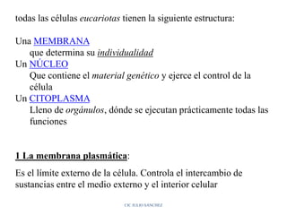 todas las células eucariotas tienen la siguiente estructura:
Una MEMBRANA
que determina su individualidad
Un NÚCLEO
Que contiene el material genético y ejerce el control de la
célula
Un CITOPLASMA
Lleno de orgánulos, dónde se ejecutan prácticamente todas las
funciones
1 La membrana plasmática:
Es el límite externo de la célula. Controla el intercambio de
sustancias entre el medio externo y el interior celular
CIC JULIO SÁNCHEZ
 