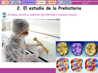 GEOGRAFÍA E HISTORIA 1.º ESO
TEMA 8
INICIOINICIO
MAPA
DEL TEMA
MAPA
DEL TEMA
ANIMACIONESANIMACIONES INTERNETINTERNET TEXTOSTEXTOSTEXTOS
ESQUEMAS
Y ACTIVIDADES
ESQUEMAS
Y ACTIVIDADES09
El trabajo científico: obtención del ADN fósil y muestras molares
2. El estudio de la Prehistoria
 