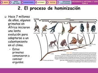 GEOGRAFÍA E HISTORIA 1.º ESO
TEMA 8
INICIOINICIO
MAPA
DEL TEMA
MAPA
DEL TEMA
ANIMACIONESANIMACIONES INTERNETINTERNET TEXTOSTEXTOSTEXTOS
ESQUEMAS
Y ACTIVIDADES
ESQUEMAS
Y ACTIVIDADES
 Hace 7 millones
de años, algunos
primates en
África iniciaron
una lenta
evolución para
adaptarse a un
calentamiento
en el clima.
– Estos
primates
comenzaron a
caminar
erguidos.
2. El proceso de hominización
 