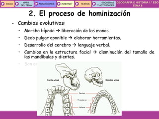 GEOGRAFÍA E HISTORIA 1.º ESO
TEMA 8
INICIOINICIO
MAPA
DEL TEMA
MAPA
DEL TEMA
ANIMACIONESANIMACIONES INTERNETINTERNET TEXTOSTEXTOSTEXTOS
ESQUEMAS
Y ACTIVIDADES
ESQUEMAS
Y ACTIVIDADES
- Cambios evolutivos:
• Marcha bípeda  liberación de las manos.
• Dedo pulgar oponible  elaborar herramientas.
• Desarrollo del cerebro  lenguaje verbal.
• Cambios en la estructura facial  disminución del tamaño de
las mandíbulas y dientes.
• Son omnívoros (a menudo carroñeros).
2. El proceso de hominización
 
