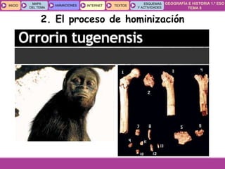 GEOGRAFÍA E HISTORIA 1.º ESO
TEMA 8
INICIOINICIO
MAPA
DEL TEMA
MAPA
DEL TEMA
ANIMACIONESANIMACIONES INTERNETINTERNET TEXTOSTEXTOSTEXTOS
ESQUEMAS
Y ACTIVIDADES
ESQUEMAS
Y ACTIVIDADES
2. El proceso de hominización
 