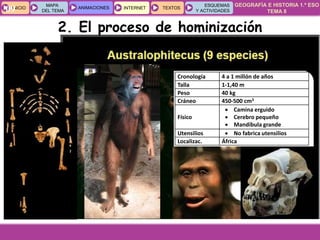 GEOGRAFÍA E HISTORIA 1.º ESO
TEMA 8
INICIOINICIO
MAPA
DEL TEMA
MAPA
DEL TEMA
ANIMACIONESANIMACIONES INTERNETINTERNET TEXTOSTEXTOSTEXTOS
ESQUEMAS
Y ACTIVIDADES
ESQUEMAS
Y ACTIVIDADES09
Cronología 4 a 1 millón de años
Talla 1-1,40 m
Peso 40 kg
Cráneo 450-500 cm3
Físico
 Camina erguido
 Cerebro pequeño
 Mandíbula grande
Utensilios  No fabrica utensilios
Localizac. África
2. El proceso de hominización
 
