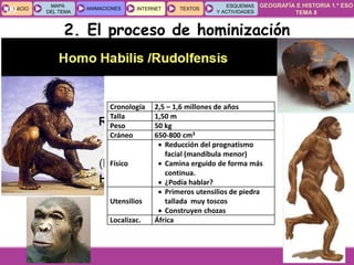 GEOGRAFÍA E HISTORIA 1.º ESO
TEMA 8
INICIOINICIO
MAPA
DEL TEMA
MAPA
DEL TEMA
ANIMACIONESANIMACIONES INTERNETINTERNET TEXTOSTEXTOSTEXTOS
ESQUEMAS
Y ACTIVIDADES
ESQUEMAS
Y ACTIVIDADES09
Cronología 2,5 – 1,6 millones de años
Talla 1,50 m
Peso 50 kg
Cráneo 650-800 cm3
Físico
 Reducción del prognatismo
facial (mandíbula menor)
 Camina erguido de forma más
continua.
 ¿Podía hablar?
Utensilios
 Primeros utensilios de piedra
tallada muy toscos
 Construyen chozas
Localizac. África
2. El proceso de hominización
 