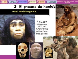 GEOGRAFÍA E HISTORIA 1.º ESO
TEMA 8
INICIOINICIO
MAPA
DEL TEMA
MAPA
DEL TEMA
ANIMACIONESANIMACIONES INTERNETINTERNET TEXTOSTEXTOSTEXTOS
ESQUEMAS
Y ACTIVIDADES
ESQUEMAS
Y ACTIVIDADES09
2. El proceso de hominización
 