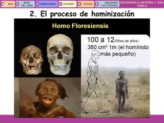GEOGRAFÍA E HISTORIA 1.º ESO
TEMA 8
INICIOINICIO
MAPA
DEL TEMA
MAPA
DEL TEMA
ANIMACIONESANIMACIONES INTERNETINTERNET TEXTOSTEXTOSTEXTOS
ESQUEMAS
Y ACTIVIDADES
ESQUEMAS
Y ACTIVIDADES09
2. El proceso de hominización
 