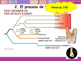 GEOGRAFÍA E HISTORIA 1.º ESO
TEMA 8
INICIOINICIO
MAPA
DEL TEMA
MAPA
DEL TEMA
ANIMACIONESANIMACIONES INTERNETINTERNET TEXTOSTEXTOSTEXTOS
ESQUEMAS
Y ACTIVIDADES
ESQUEMAS
Y ACTIVIDADES09
2. El proceso de hominizaciónPiensa (p. 172)
 
