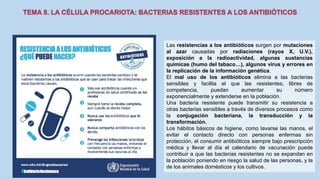 Las resistencias a los antibióticos surgen por mutaciones
al azar causadas por radiaciones (rayos X, U.V.),
exposición a la radioactividad, algunas sustancias
químicas (humo del tabaco…), algunos virus y errores en
la replicación de la información genética.
El mal uso de los antibióticos elimina a las bacterias
sensibles y facilita el que las resistentes, libres de
competencia, puedan aumentar su número
exponencialmente y extenderse en la población.
Una bacteria resistente puede transmitir su resistencia a
otras bacterias sensibles a través de diversos procesos como
la conjugación bacteriana, la transducción y la
transformación.
Los hábitos básicos de higiene, como lavarse las manos, el
evitar el contacto directo con personas enfermas sin
protección, el consumir antibióticos siempre bajo prescripción
médica y llevar al día el calendario de vacunación puede
contribuir a que las bacterias resistentes no se expandan en
la población poniendo en riesgo la salud de las personas, y la
de los animales domésticos y los cultivos.
 