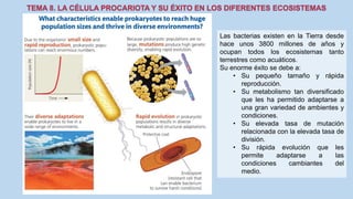 Las bacterias existen en la Tierra desde
hace unos 3800 millones de años y
ocupan todos los ecosistemas tanto
terrestres como acuáticos.
Su enorme éxito se debe a:
• Su pequeño tamaño y rápida
reproducción.
• Su metabolismo tan diversificado
que les ha permitido adaptarse a
una gran variedad de ambientes y
condiciones.
• Su elevada tasa de mutación
relacionada con la elevada tasa de
división.
• Su rápida evolución que les
permite adaptarse a las
condiciones cambiantes del
medio.
 