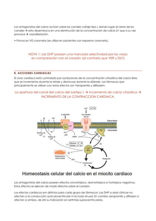 Los antagonistas del calcio actúan sobre los canales voltaje tipo L dando lugar al cierre de los
canales → esto desemboca en una disminución de la concentración de calcio 2+ que a su vez
provoca → vasodilatación.
• Provocan VD coronaria (se utiliza en pacientes con espasmo coronario).
NOTA 1: Las DHP poseen una marcada selectividad por los vasos
en comparación con el corazón (al contrario que VER y DILT)
B. ACCIONES CARDIACAS
El ciclo cardíaco está controlado por oscilaciones de la concentración citosólica del calcio libre,
que se incrementa durante la sístole y disminuye durante la diástole. Los fármacos que
principalmente se utilizan con estos efectos son Verapamilo y dilitiazem.
La apertura del canal del calcio del subtipo L → incremento de calcio citosólico →
INCREMENTO DE LA CONTRACCION CARDIACA.
Los antagonistas del calcio poseen efectos cronotrópico, dromotrópico e inotrópico negativos.
Estos efectos se ejercen de modo directos sobre el corazón.
Los efectos cardiacos son distintos para cada grupo de fármacos: Las DHP a dosis clínicas no
afectan a la conducción auriculoventricular ni al nodo sinusal. En cambio verapamilo y diltiazen si
afectan a ambos, de ahí su indicación en arritmias supraventriculares.
 