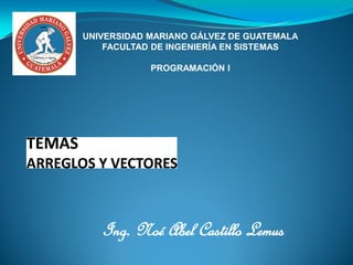 Ing. Noé Abel Castillo Lemus
UNIVERSIDAD MARIANO GÁLVEZ DE GUATEMALA
FACULTAD DE INGENIERÍA EN SISTEMAS
PROGRAMACIÓN I
 