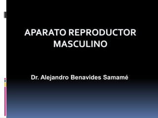 APARATO REPRODUCTOR
MASCULINO
Dr. Alejandro Benavides Samamé
 