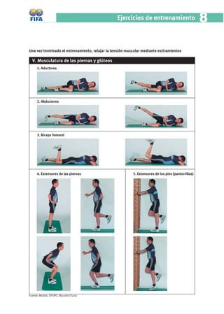 Ejercicios de entrenamiento                         8

Una vez terminado el entrenamiento, relajar la tensión muscular mediante estiramientos

  V. Musculatura de las piernas y glúteos
     1. Aductores




     2. Abductores




     3. Bíceps femoral




     4. Extensores de las piernas                         5. Extensores de los pies (pantorrillas)




Fuente: Mobile, OFSPO, Macolin/Suiza
 