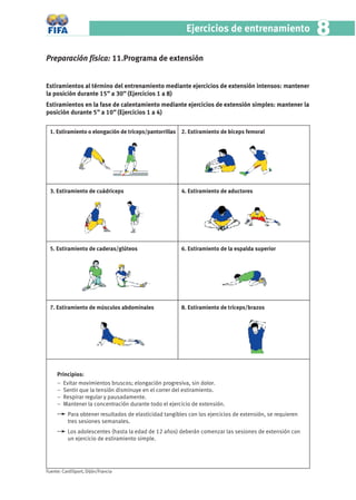 Ejercicios de entrenamiento                      8
Preparación física: 11.Programa de extensión


Estiramientos al término del entrenamiento mediante ejercicios de extensión intensos: mantener
la posición durante 15” a 30” (Ejercicios 1 a 8)
Estiramientos en la fase de calentamiento mediante ejercicios de extensión simples: mantener la
posición durante 5” a 10” (Ejercicios 1 a 4)


 1. Estiramiento o elongación de tríceps/pantorrillas 2. Estiramiento de bíceps femoral




 3. Estiramiento de cuádriceps                          4. Estiramiento de aductores




 5. Estiramiento de caderas/glúteos                     6. Estiramiento de la espalda superior




 7. Estiramiento de músculos abdominales                8. Estiramiento de tríceps/brazos




     Principios:
     – Evitar movimientos bruscos; elongación progresiva, sin dolor.
     – Sentir que la tensión disminuye en el correr del estiramiento.
     – Respirar regular y pausadamente.
     – Mantener la concentración durante todo el ejercicio de extensión.
          Para obtener resultados de elasticidad tangibles con los ejercicios de extensión, se requieren
          tres sesiones semanales.
          Los adolescentes (hasta la edad de 12 años) deberán comenzar las sesiones de extensión con
          un ejercicio de estiramiento simple.




Fuente: CardiSport, Dijón/Francia
 
