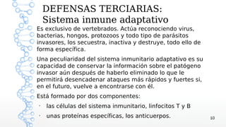 DEFENSAS TERCIARIAS:
    Sistema inmune adaptativo
Es exclusivo de vertebrados. Actúa reconociendo virus,
bacterias, hongos, protozoos y todo tipo de parásitos
invasores, los secuestra, inactiva y destruye, todo ello de
forma específica.
Una peculiaridad del sistema inmunitario adaptativo es su
capacidad de conservar la información sobre el patógeno
invasor aún después de haberlo eliminado lo que le
permitirá desencadenar ataques más rápidos y fuertes si,
en el futuro, vuelve a encontrarse con él.
Está formado por dos componentes:
●
    las células del sistema inmunitario, linfocitos T y B
●
    unas proteínas específicas, los anticuerpos.              10
 