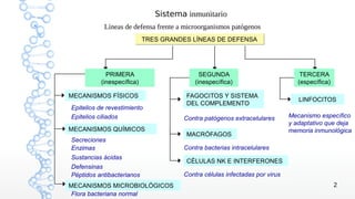 Sistema inmunitario
            Líneas de defensa frente a microorganismos patógenos
                           TRES GRANDES LÍNEAS DE DEFENSA




            PRIMERA                         SEGUNDA                             TERCERA
          (inespecífica)                  (inespecífica)                       (específica)

MECANISMOS FÍSICOS                     FAGOCITOS Y SISTEMA
                                                                               LINFOCITOS
                                       DEL COMPLEMENTO
Epitelios de revestimiento
Epitelios ciliados                    Contra patógenos extracelulares       Mecanismo específico
                                                                            y adaptativo que deja
MECANISMOS QUÍMICOS                                                         memoria inmunológica
                                       MACRÓFAGOS
Secreciones
Enzimas                               Contra bacterias intracelulares
Sustancias ácidas
                                       CÉLULAS NK E INTERFERONES
Defensinas
Péptidos antibacterianos              Contra células infectadas por virus
MECANISMOS MICROBIOLÓGICOS                                                                    2
 Flora bacteriana normal
 