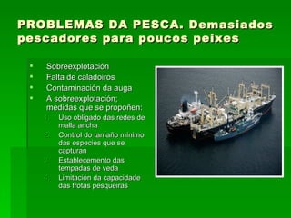 PROBLEMAS DA PESCA. Demasiados
pescadores para poucos peixes

    Sobreexplotación
    Falta de caladoiros
    Contaminación da auga
    A sobreexplotación;
     medidas que se propoñen:
     1.   Uso obligado das redes de
          malla ancha
     2.   Control do tamaño mínimo
          das especies que se
          capturan
     3.   Establecemento das
          tempadas de veda
     4.   Limitación da capacidade
          das frotas pesqueiras
 