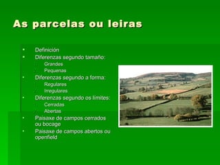 As parcelas ou leiras

    Definición
    Diferenzas segundo tamaño:
     1.   Grandes
     2.   Pequenas
 •   Diferenzas segundo a forma:
     1.   Regulares
     2.   Irregulares
 •   Diferenzas segundo os límites:
     1.   Cerradas
     2.   Abertas
 •   Paisaxe de campos cerrados
     ou bocage
 •   Paisaxe de campos abertos ou
     openfield
 