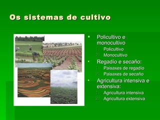 Os sistemas de cultivo

                   Policultivo e
                    monocultivo
                    1. Policultivo
                    2. Monocultivo
                •   Regadío e secaño:
                    1. Paisaxes de regadío
                    2. Paisaxes de secaño
                •   Agricultura intensiva e
                    extensiva:
                    1. Agricultura intensiva
                    2. Agricultura extensiva
 