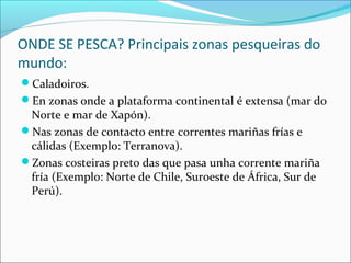 ONDE SE PESCA? Principais zonas pesqueiras do
mundo:
Caladoiros.
En zonas onde a plataforma continental é extensa (mar do
Norte e mar de Xapón).
Nas zonas de contacto entre correntes mariñas frías e
cálidas (Exemplo: Terranova).
Zonas costeiras preto das que pasa unha corrente mariña
fría (Exemplo: Norte de Chile, Suroeste de África, Sur de
Perú).
 