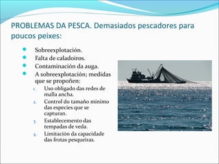 PROBLEMAS DA PESCA. Demasiados pescadores para
poucos peixes:
 Sobreexplotación.
 Falta de caladoiros.
 Contaminación da auga.
 A sobreexplotación; medidas
que se propoñen:
1. Uso obligado das redes de
malla ancha.
2. Control do tamaño mínimo
das especies que se
capturan.
3. Establecemento das
tempadas de veda.
4. Limitación da capacidade
das frotas pesqueiras.
 