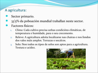 A agricultura:
 Sector primario.
 33’5% da poboación mundial traballan neste sector.
 Factores físicos:
1. Clima: Cada cultivo precisa unhas condicións climáticas, de
temperatura e humidade, para o seu crecemento.
2. Relevo: A agricultura adoita localizarse nas chairas e nos fondos
dos vales máis amplos. Terrazas e socalcos.
3. Solo: Non todos os tipos de solos son aptos para a agricultura.
Textura e acidez.
 