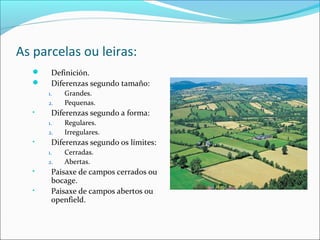 As parcelas ou leiras:
 Definición.
 Diferenzas segundo tamaño:
1. Grandes.
2. Pequenas.
• Diferenzas segundo a forma:
1. Regulares.
2. Irregulares.
• Diferenzas segundo os límites:
1. Cerradas.
2. Abertas.
• Paisaxe de campos cerrados ou
bocage.
• Paisaxe de campos abertos ou
openfield.
 