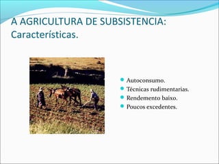 A AGRICULTURA DE SUBSISTENCIA:
Características.
Autoconsumo.
Técnicas rudimentarias.
Rendemento baixo.
Poucos excedentes.
 