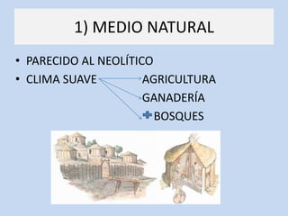 1) MEDIO NATURAL
• PARECIDO AL NEOLÍTICO
• CLIMA SUAVE         AGRICULTURA
                      GANADERÍA
                        BOSQUES
 
