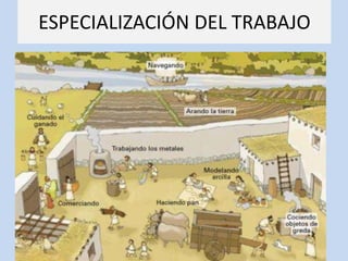 ESPECIALIZACIÓN DEL TRABAJO
 