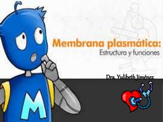 Membrana Plasmática
Dra. YulibethJiménez
 