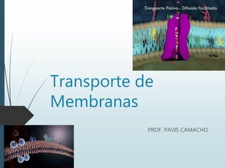 Transporte de
Membranas
PROF. PAVIS CAMACHO
 