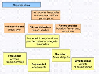 Segunda etapa Las nociones temporales van siendo adquiridas poco a poco Acontecer diario Antes, ayer Ritmos biológicos Sueño, hambre Ritmos sociales Horarios, fin semana, vacaciones Las repeticiones y los ritmos permiten primeras categorías temporales Frecuencia A veces, frecuentemente Regularidad regularmente Sucesión   Antes, después Simultaneidad Durante Al mismo tiempo 