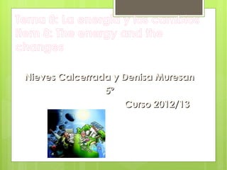 Tema 8: La energía y los cambios
Item 8: The energy and the
changes

 Nieves Calcerrada y Denisa Muresan
                 5º
                     Curso 2012/13
 
