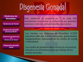 TEMA 8 DISFUNCION Y DISGENESIA GONADAL-1.pptx