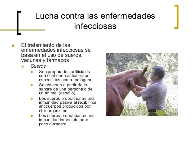 Como curabais atopichesky la dermatitis al niño