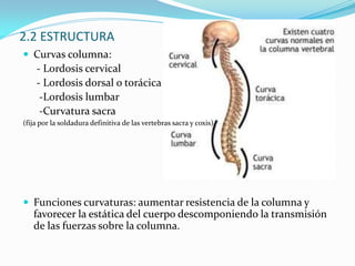 Condiciones de información; ordenes, instrucciones para las tareas, cauces comunicación…1.4 ASPECTOS A ANALIZAR Análisis del trabajo y demandas de las tareas.