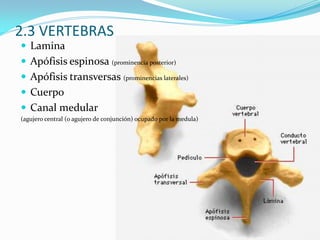 Evaluación entorno y condiciones de trabajo en relación tarea y capacidades del trabajador.